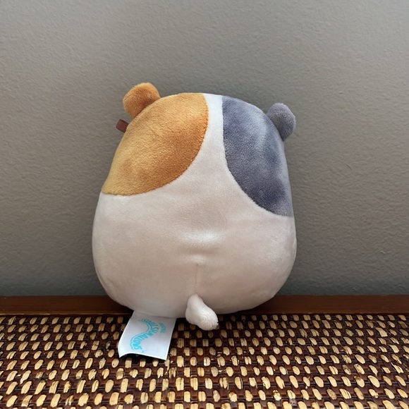 Squishmallow- Pax is a Hamster!! - Picture 2 of 4